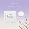 Parches Lavanda Aromaterapia Parche Aromático Aceite Esencial Puro Aceites Esenciales