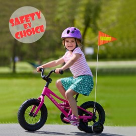 Anley 6Ft Bike Safety Flag with Reflective Strip & Fiberglass Pole & Mounting Bracket - Adjustable Length, High Visibility & Tear Resistant - Bicycle Trailer Safety Flags for Kids & Adults (Orange)