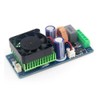 Digital Amplifier Board, High Performance 500 W Class D Mono