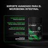 Synbiotic Plus Probióticos y Prebióticos Duocaps Liberación Programada 2 Billones
