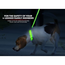 Illumiseen LED Dog Collar USB Rechargeable - Bright & High Visibility Lighted Glow Collar for Pet Night Walking - Weatherproof, in 6 Colors & 6 Sizes (Green XX-Small)