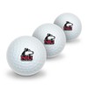 GRAPHICS & MORE Northern Illinois University Novelty Golf Balls 3