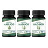 ORGANIC SPREE HADJOD - CISSUS 120 Tablets | Cissus Quadrangularis