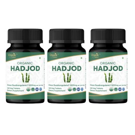 ORGANIC SPREE HADJOD - CISSUS 120 Tablets | Cissus Quadrangularis (Hadjod) | USDA Organic Certified | Organic and Natural 120tab - Pack of 3