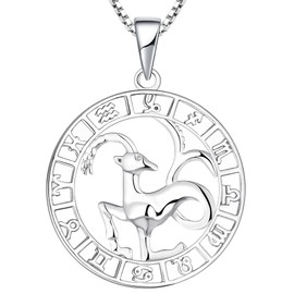 YL Capricorn Constellation Necklace Sterling Silver Zodiac JewelryAstrology Coin Horoscope Pendant for Women