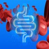 Wellers/Probiotics/400mg/1Pc