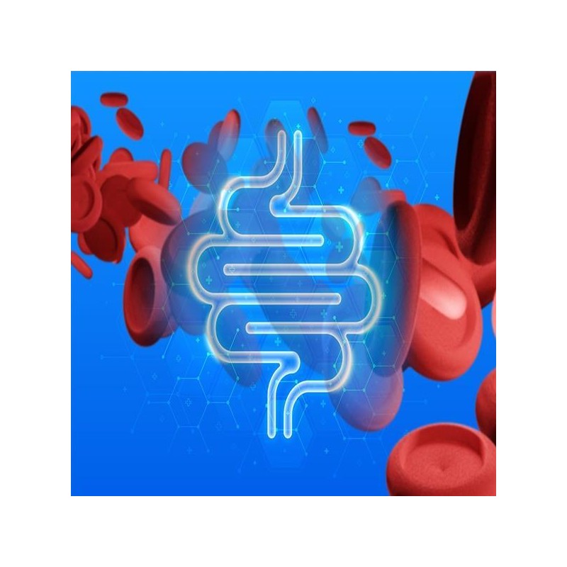 Wellers/Probiotics/400mg/1Pc