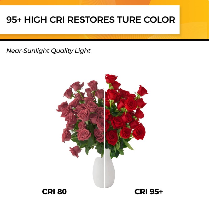 Hizashi Vintage LED Edison Bulb Dimmable, 6W Equivalent 60W, 2700k