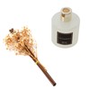 Cocorrína Reed Diffuser Sets, 6.7 fl oz. Black Forest Diffuser