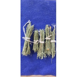 Dried Cota Tea Greentread Navajo Tea indian Tea 5 Bundles Fresh Dried New Mexico