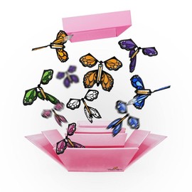Pink Explosion Butterfly Box with FlutterFlyers - FlutterFlyer Color: Orange Monarch Flyers x 5