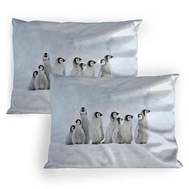 Lunarable Underwater Pillow Sham Set of 2, Penguins and Snow Hill Antarctica Freezing Cold Weather Theme, Quality Microfiber Bedding Item for All Seasons, 26" x 20", White Black Grey