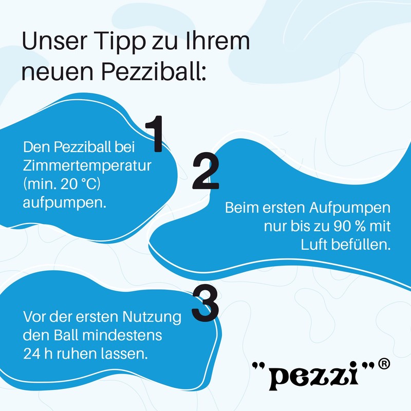 Pezziball Standard Exercise Ball