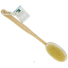 Earth Therapeutics Back Brush Far Reaching Brush
