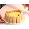 Finger Shaped Silicone Mold Vencilazy 4 PCS-10 Cavity Long Strips
