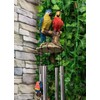 Ebros Gift Red Scarlet and Blue Macaw Parrots Couple Resonant