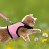 Tibapla Adjustable Rabbit Harness with Elastic Lead, Recall Lead for