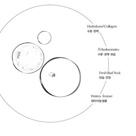 Badskin 콜라겐 밤 하이드레이팅 앰플 400ml Collagen Night Hydrating Ampoule 400ml