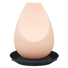 Shiseido Cree de Poh Beaute Repongue