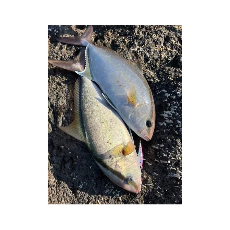 Nature Boys SwichRiderZn Switch Rider Zn40g My Eagle