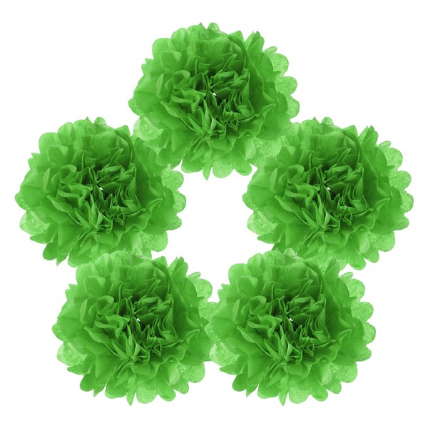 MECCANIXITY 5Pcs Paper Pom Poms, 6 Inch Paper Flowers Tissue