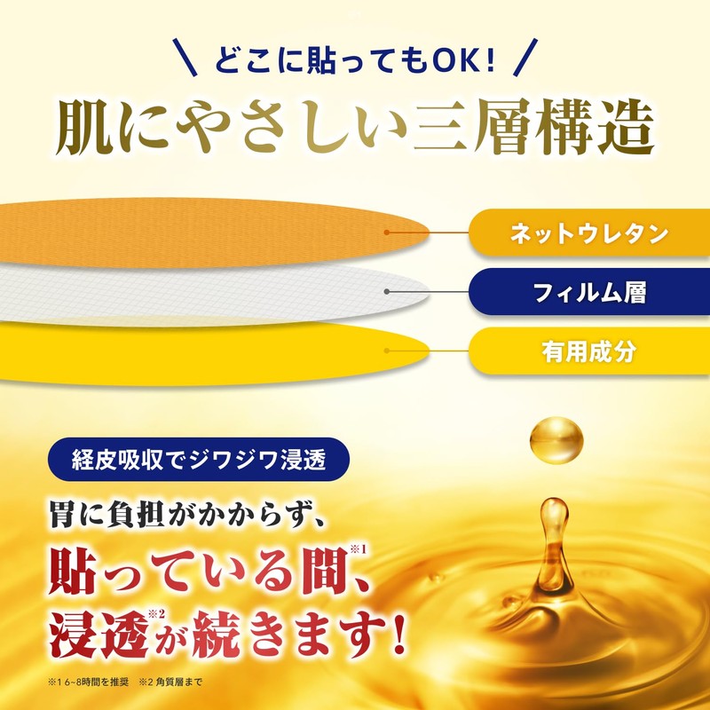 【貼るウコン】KIWAMI PATCH [ウコン オルニチン しじみ タウリン 国産] (1袋／10枚入)