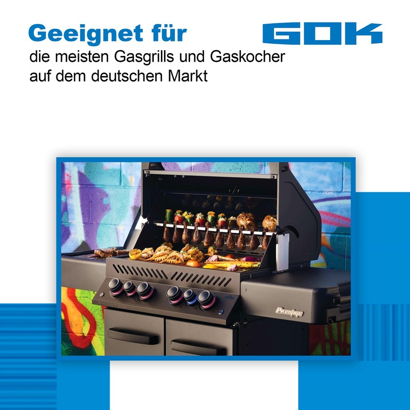 Gok Gas Hose Camping Stove Grill Cool Box Hose Lights