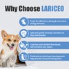 LARICEO 16.0oz Gentle Pet Training Solution for Dogs, Manages Urine