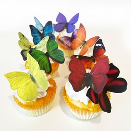 Sugar Robot Edible Butterflies for Cake Decorating- Large Size Butterfly Decorations - Cake Toppers and Cupcake Toppers - Made in the USA - Premium Crafted (Rainbow)