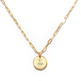 STORYJEWELLERY 925 Sterling Silver August Birth Flower Pendant Necklaces for Women, Simple 18K Gold Plated Charm Necklace with Paperclip Chain, Trendy Womens Jewelry, Gifts for Women