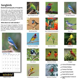2024 Wall Calendar,Calendar 2024, November 2023 - December 2024, Wall Calendar Song Birds, 12" x 24" Opened,Full Page Months Thick & Sturdy Paper for Gift Perfect Calendar Organizing & Planning