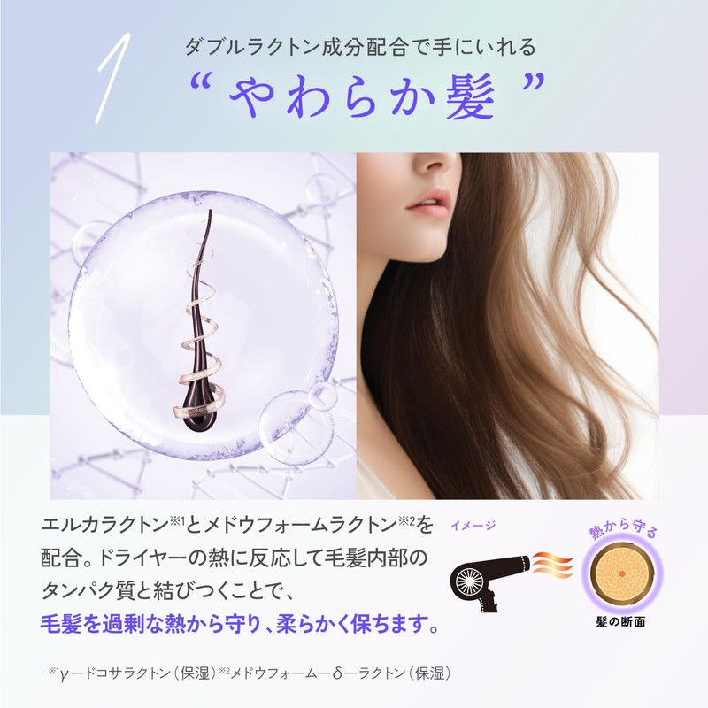 Kyogoku W Treatment, Rinsing Treatment, Non-Rinsing Treatment, Salon Exclusive Ranking,