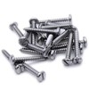 No.14 x 1 (6.3mm x 25mm) Slot Pan Self-Tapping Screw