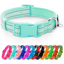 azuza Reflective Dog Collar,Soft Neoprene Padded Pet Collar with ID Tag Ring,Adjustable for Small Dogs,Teal,S