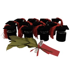 Generico 12 x Black Graduation Party Favour Bottle for Confectionery Box Touch Tin Black with Red Tassel (Black/Red)