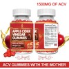 HempTotally Apple Cider Vinegar Gummies with Mother for Weight, Detox