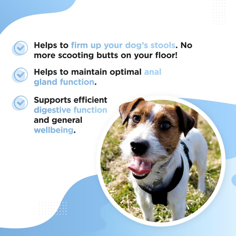Dog's Lounge - SCOOTER - Digestive Soft Chews for Dogs