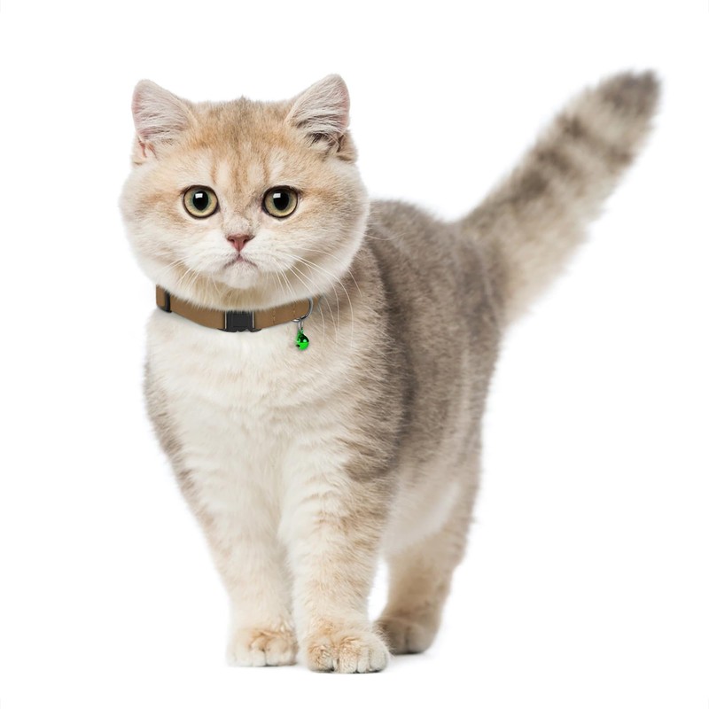 Breakaway Cat Collar Leather with Removable Bell - 13 Colors