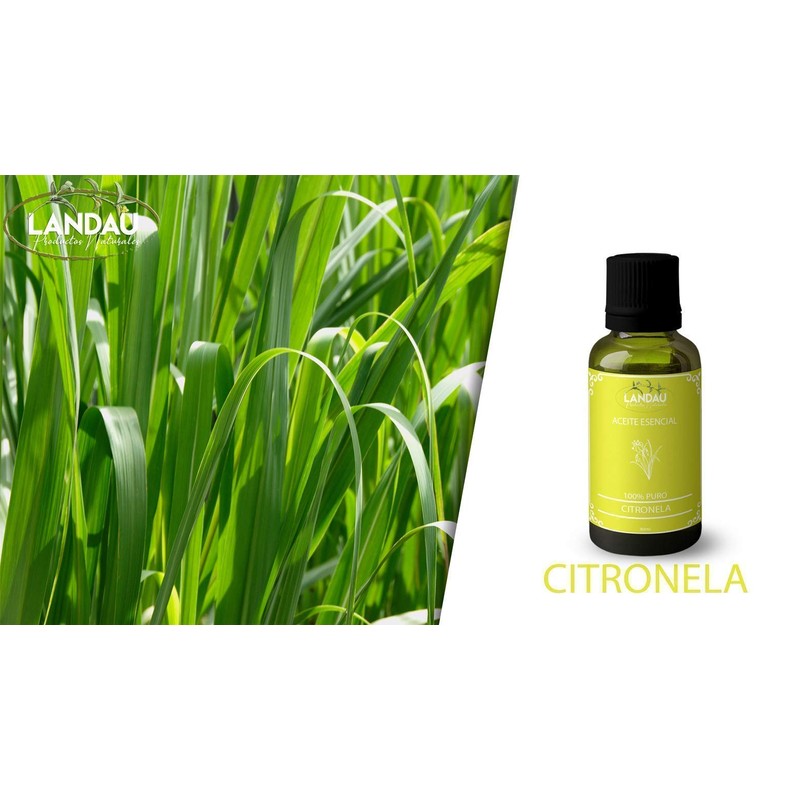 ACEITE ESENCIAL DE CITRONELLA 30ML PURO SIN DILUIR