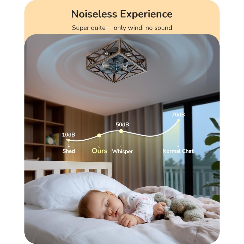 EDISHINE Caged Ceiling Fans with Lights Flush Mount, Rustic Square