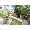 Whitefurze G03R30 30cm Round Bell Planter - Terracotta