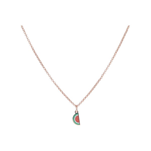 Alex and Ani A21ENWTRSR,Color Infusion Watermelon 19 in. Adjustable Necklace,Shiny