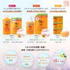 Kumano Yushi Four Seasons Shikioriori Persimmon Juice Body Soap 600ml