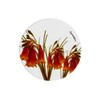 Maxwell & Williams Royal Botanic Gardens Australian Botanics Ceramic Round
