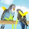 Random Adjustable Parrot Bird Harness Leash Set Anti-bite Training Harness