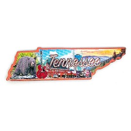 Tennessee State Outline Foil Fridge Magnet