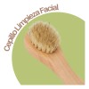 Set Cepillo Corporal Facial Y Esponja Pulpa De Madera Exfo