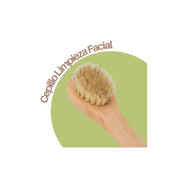 Set Cepillo Corporal Facial Y Esponja Pulpa De Madera Exfo