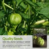 Survival Garden Seeds - Toma Verde Tomatillo Seed for Planting