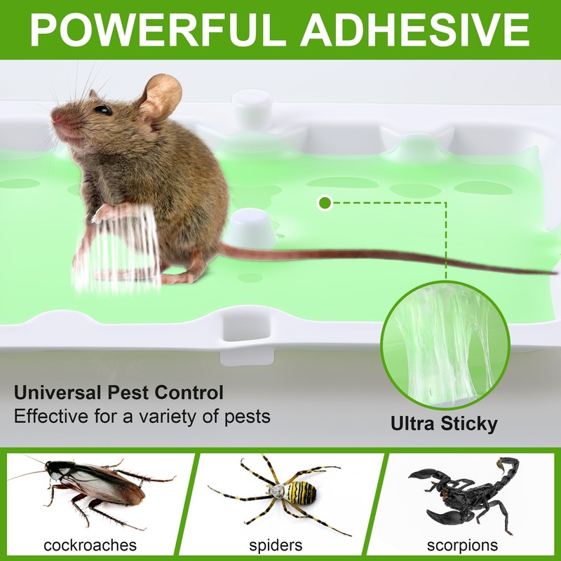 Qualirey 24 Pack Mouse Glue Trap, Super Sticky Traps Mouse
